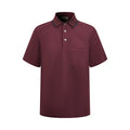 2026 New GS Logo Embroidered Polo Shirt (BB853-A35)